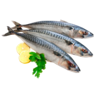 Negro - Frozen Mackerel, kg ( 150-300 g/pieces) / Macrou kg   (~1.3kg)